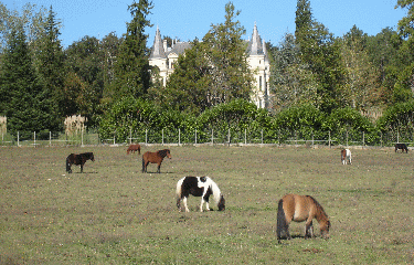 La Sauve Majeure-gironde