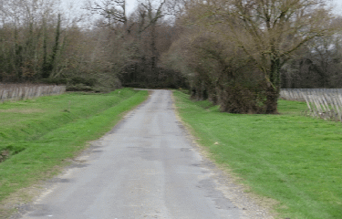 PEUJARD - 7 KM-gironde