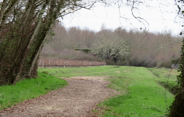 PEUJARD - 7 KM-gironde