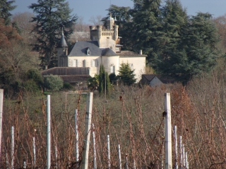 CASTELMORON-D ALBRET PAR ST-MARTIN-DU-PUY -gironde