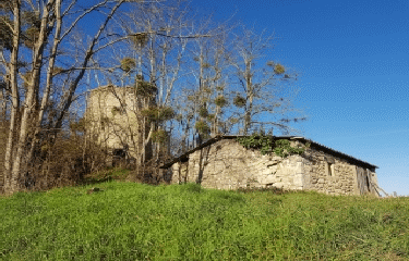 LANDERROUET-SUR-SEGUR - SAINT-MARTIN-DU-PUY-gironde