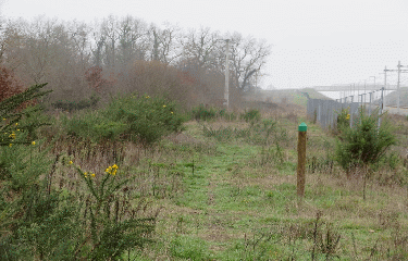 CAVIGNAC - MARCENAIS - BOUCLE DE 15.8 KM-gironde