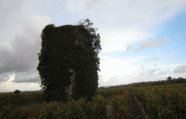 Cussac Fort Medoc -gironde