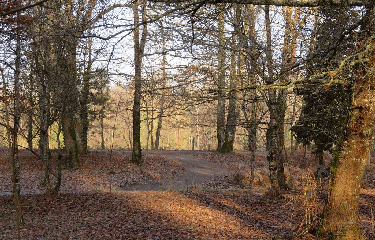LAC DU MOULIN BLANC 3.5 KM-gironde