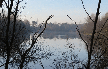 LAC DU MOULIN BLANC 3.5 KM-gironde