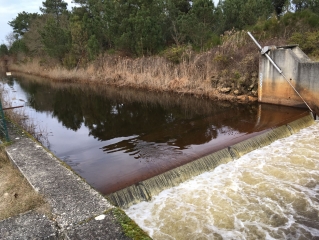FORET COMMUNALE DU PORGE - CANAUX DES ETANGS - ETANG DE LANGOUARDE-gironde