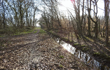 CUBNEZAIS 10 KM-gironde