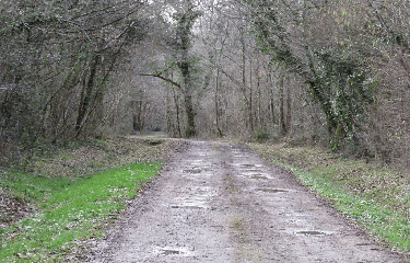 CUBNEZAIS 10 KM-gironde