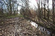 CUBNEZAIS 10 KM-gironde