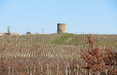 ST-SAVIN-DE-BLAYE - 9 KM-gironde