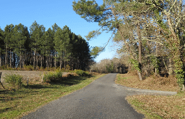 ST-SAVIN-DE-BLAYE - 9 KM-gironde