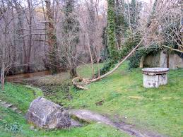  LA BREDE - ANCIEN MOULIN DE BERNACHON - RESERVE DE SAUCATS-gironde