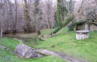  LA BREDE - ANCIEN MOULIN DE BERNACHON - RESERVE DE SAUCATS-gironde