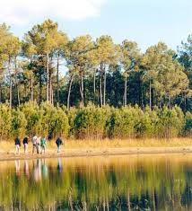 SAINT-MAGNE - LACS DU DOMAINE DE GERARD LAGORS-gironde