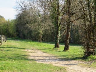 GALGON - LE CANTON DES LOUPS - 11 KM-gironde