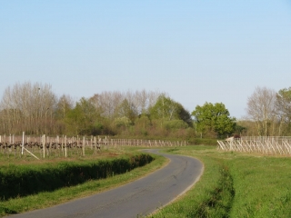 GALGON - LE CANTON DES LOUPS - 11 KM-gironde