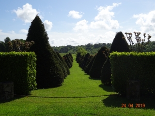 CENAC - CHATEAU DE CARIGNAN-gironde