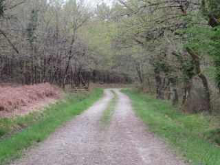 SAINT-YZAN-DE-SOUDIAC - 3.6 KM-gironde