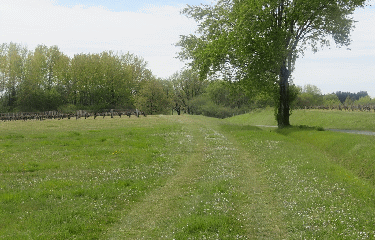 FOURS - 10 KM-gironde