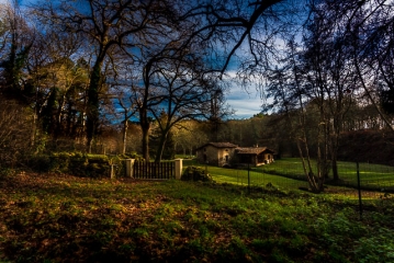 landes-de-gascogne - SALLES - BOUCLE AU SUD - MATIN