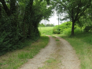 GAURIAC - BORD DE LA GIRONDE - 6 KM-gironde