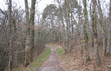 SAINT MEDARD EN JALLES-gironde