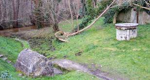 landes-de-gascogne - ST-LEGER-DE-BALSON -  FORET DES LANDES