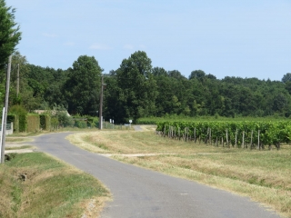 MOMBRIER 7 KM-gironde