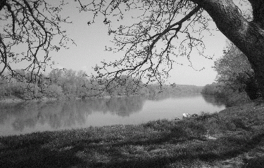 CASTETS EN DORTHE -gironde