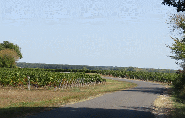 ANGLADE 7.7 KM-gironde