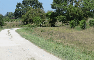 ST GIRONS D AIGUEVIVES 7.7 KM-gironde