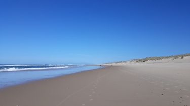 GRAND-CROHOT - LE PORGE ET RETOUR - PLAGE ET FORETS-gironde