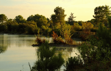 VIGNES ET GRAVIERES-gironde