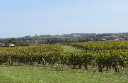 RANDO CARS 7.8 KM-gironde