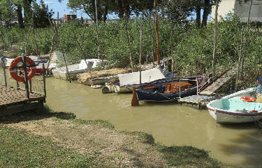 RANDO ROQUE DE THAU 11 KM-gironde