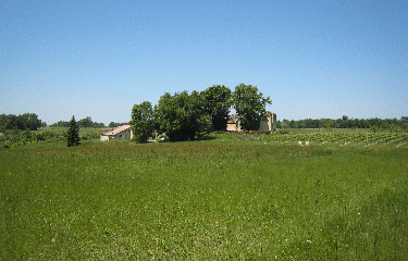 SAUVETERRE DE GUYENNE-gironde