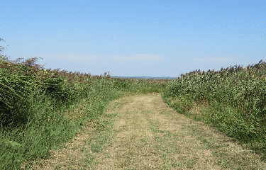 BRAUD-ET-ST-LOUIS - 8.3 KM-gironde