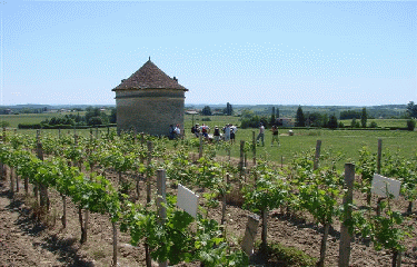 FRANCS - PUYFROMAGE-gironde