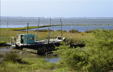 AUDENGE - DOMAINE DE CERTES-gironde