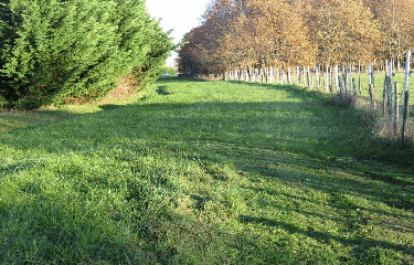 RANDO MARSAS 8.5 KM-gironde