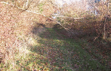 RANDO MARSAS 8.5 KM-gironde