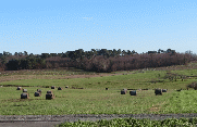 SAINT-CAPRAIS-DE-BLAYE - 9 KM-gironde
