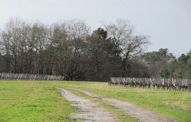 RANDO CEZAC 8.3 KM-gironde