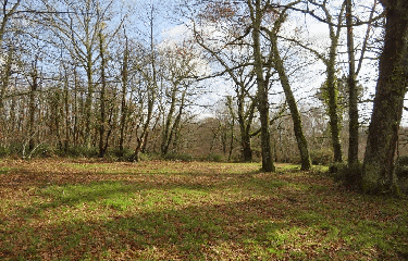 RANDO CEZAC 8.3 KM-gironde