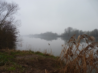 RANDONNEE A LIBOURNE PAR LE MENHIR DE PIERREFITTE-gironde