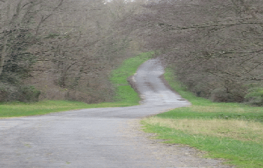 RANDO CEZAC 7.7 KM-gironde