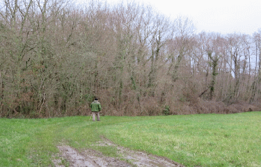 RANDO CEZAC 7.7 KM-gironde