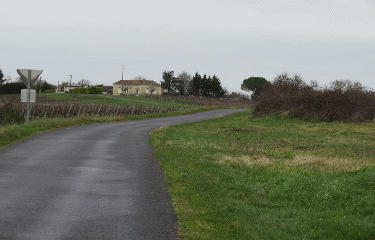 RANDO ST ANDRONY 8 KM-gironde