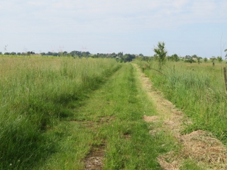 RANDO BOURG SUR GIRONDE 7.4 KM-gironde