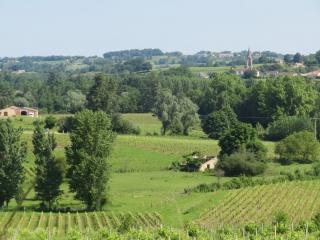 RANDO BOURG SUR GIRONDE 7.4 KM-gironde